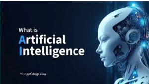 What is Artificial Intelligence?