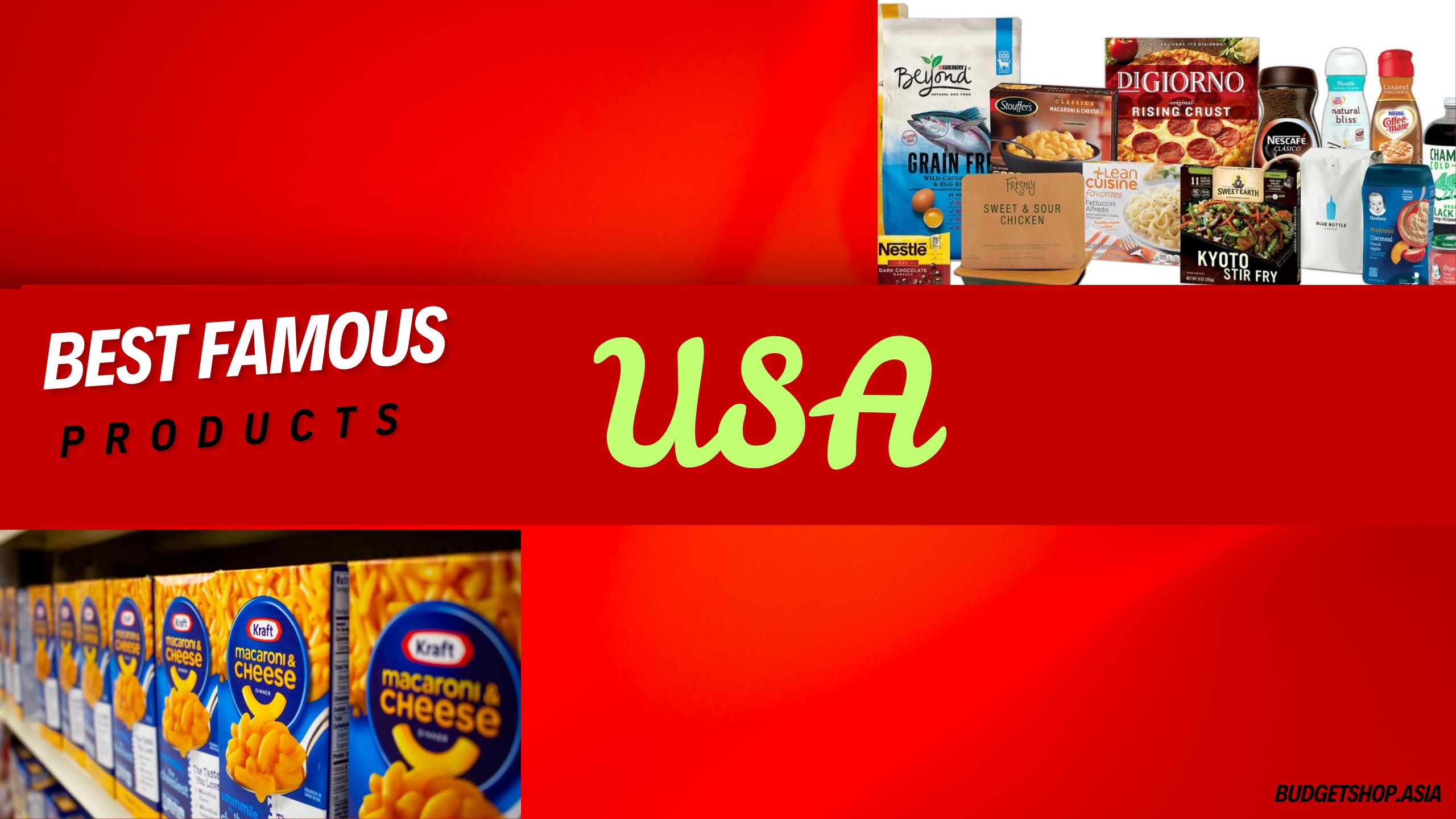 Best Famous Products in USA