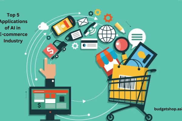 Top 5 Applications of AI in E-commerce Industry