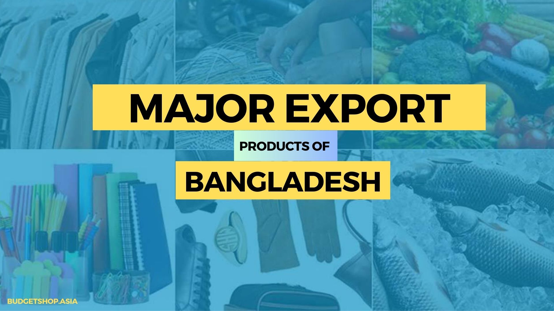 Major Export Products of Bangladesh